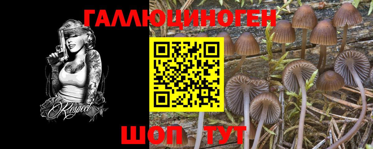 Галлюциногенные грибы Magic Shrooms Губкинский