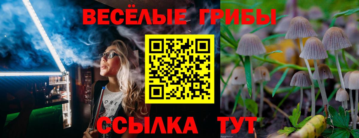 Губкинский  МЕФ   Вход с VPN  Каннабис  Марихуана  Кокаин  Магазины продажи наркотиков  ГАШИШ  МДМА 