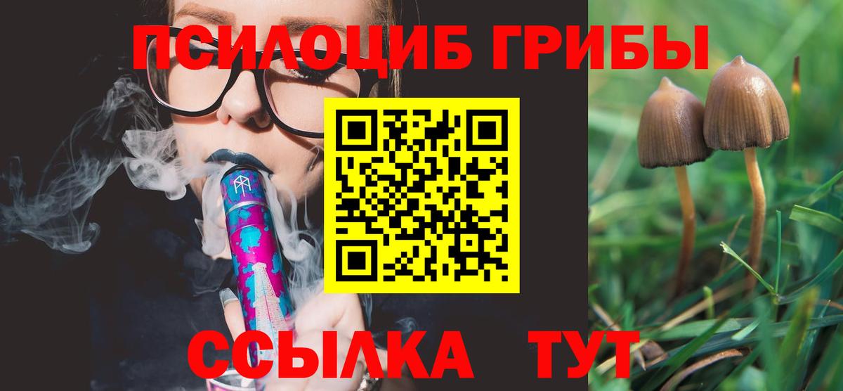 Галлюциногенные грибы Psilocybine cubensis  Вход с VPN  Губкинский  цена   Псилоцибиновые грибы Psilocybe 