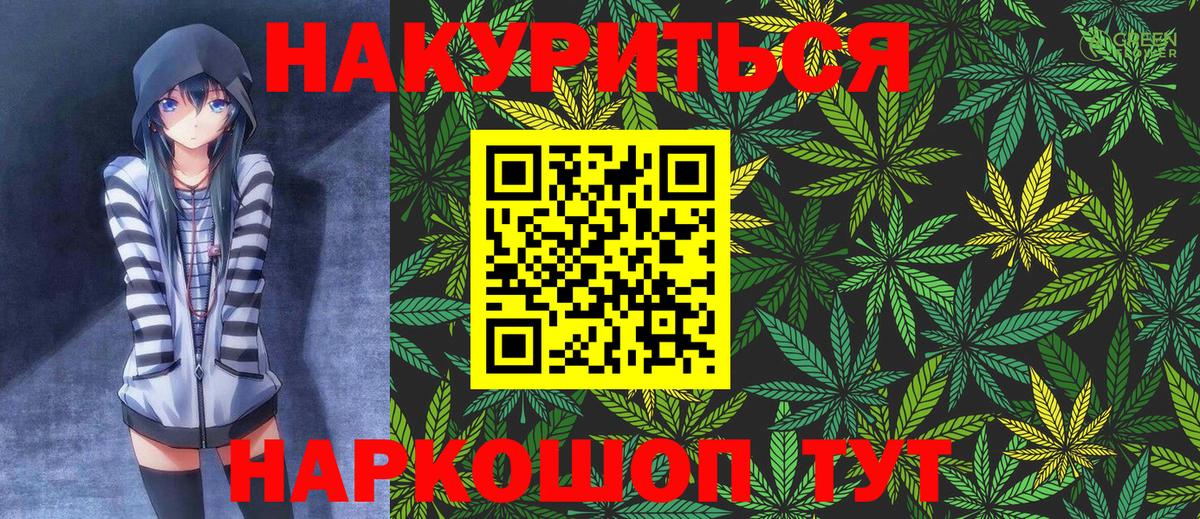 Канабис сатива Губкинский